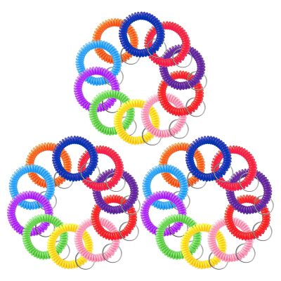 300 Pcs Colorful Spring Wrist Coil Keychain Stretchable Wrist Keychain Bracelet Wrist Coil Wrist Band Key Ring Chain