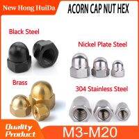 Stainless Steel Kuningan Baja Karbon Hitam Biji Cap Nut Hex Metrik Threaded Hexagon Nut M3 M4 M5 M6 M8 M10 m12 M14 M16 M18 M20