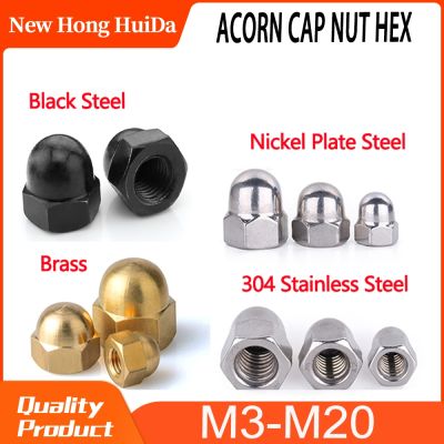 Stainless Steel Kuningan Baja Karbon Hitam Biji Cap Nut Hex Metrik Threaded Hexagon Nut M3 M4 M5 M6 M8 M10 m12 M14 M16 M18 M20