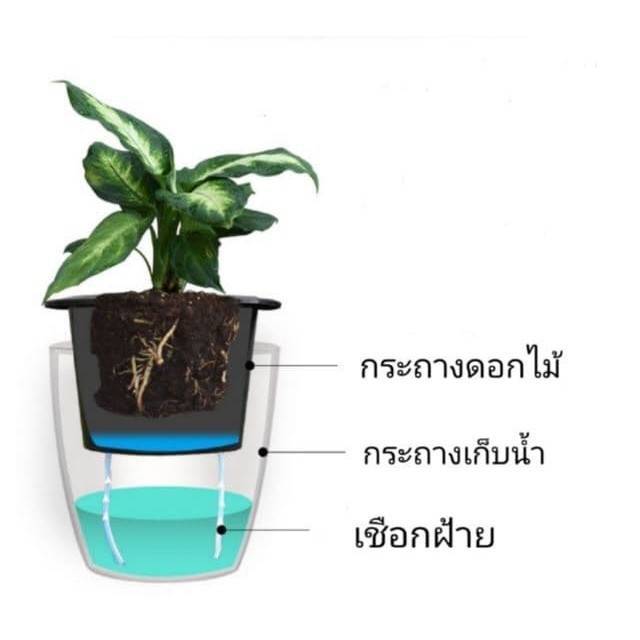 s-garden-กระถางต้นไม้-แบบเก็บน้ำได้-ไม่ต้องคอยรดน้ำ