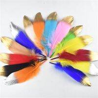 wholesale 10Pcs/Lot gold goose feathers 15-20cm/6-8inches Feathers Crafts Decoration Accessories Wedding decoration