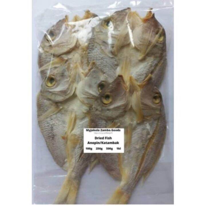 Dried Fish Anopin/Katambak 250g 500g 1kl Lazada PH