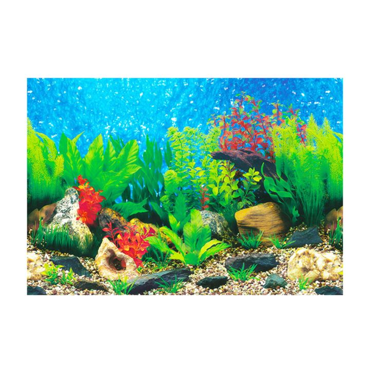 Fish Tank Background Easy to Apply Fish Tank Backdrop Vibrant 3d ...