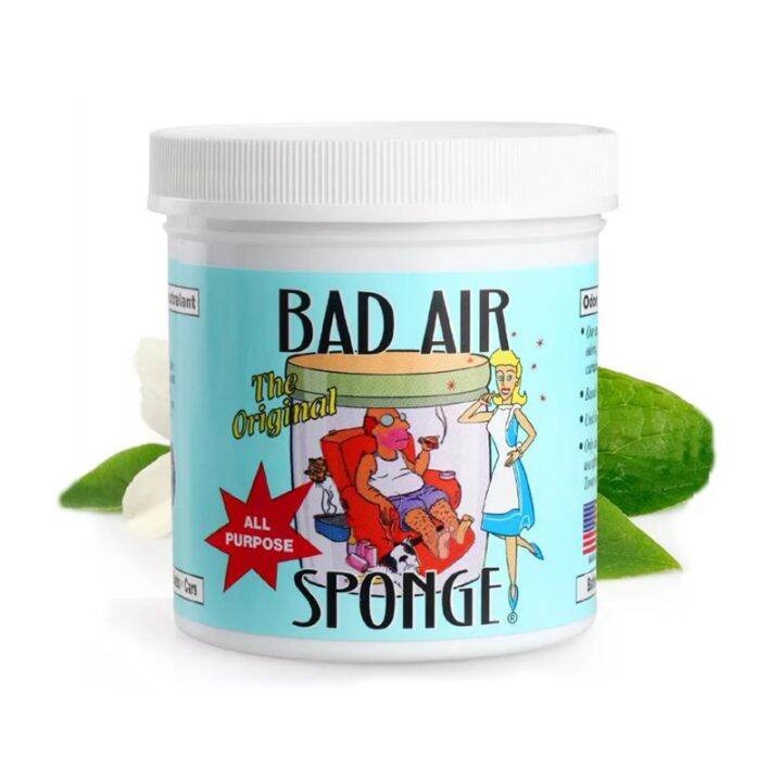 durable Pet Odor Absorber Bad Air Sponge Lazada PH