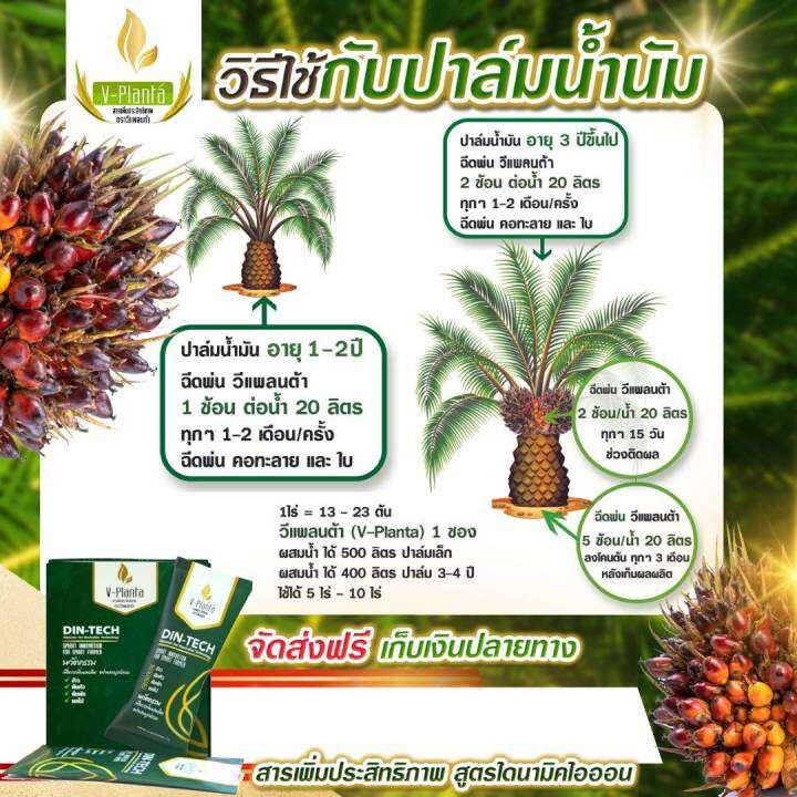 v-planta-วีแพลนท์ต้า-ของแท้-2-ซอง-ราคา-900-บาท-สารเสริมเพิ่มประสิทธิภาพทางการเกษตร-สูตรใหม่-ไดนามิคไอออน-1