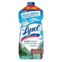 ส่งฟรี! Lysol Clean and Fresh Multi-Surface Cleaner Cool Adirondack น้ำยาทำความสะอาด ครัวห้องน้ำและบริเวณอื่น ๆ ของบ้าน แท้ 100%