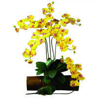 Phalaenopsis Stem ดอกไม้ประดิษฐ์ (ชุด6ชิ้น) สีเหลือง