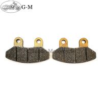 Motorcycle Front Brake Pads Sets For SYM VS 125 VS 150 06-15 Euro MX 125 02-07 RS 125 04-06 Shark 50/125/150 99-02 RS 50 04-09