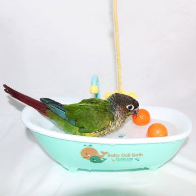 นกแก้วอัตโนมัติอ่างอาบน้ำนกอาบน้ำอ่างอาบน้ำฝักบัวป้อนชามสำหรับสัตว์เลี้ยงนกแก้ว Birdbath อุปกรณ์อาบน้ำทนทาน