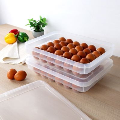 กล่องสำหรับเก็บไข่ไก่ 30 ฟอง no .6111 (plastic 30 eggs containers) ตรา Micron Ware
