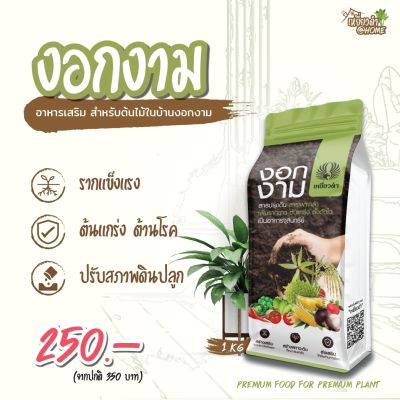 งอกงาม ขนาด 1 กิโลกรัม ตราเหยี่ยวดำ