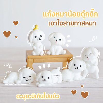 MS5751 แก๊งค์น้องหมาพุดเดิ้ลสีขาว 6 แบบ โมเดลจิ๋ว ตุ๊กตาจิ๋ว ตุ๊กตาแต่งสวน * ถ่ายจากสินค้าจริง-จากไทย-ชุดสุดคุ้ม