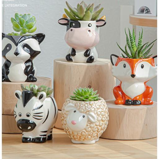✑ஐ☒ Set of 6 Animal Cactus Succulent Ceramic Pot Planters Cute ...