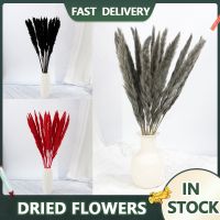 【cw】 Dried Artificial Reed Tail Bouquet Wedding Ceremony Decoration ！