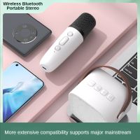 Wireless Bluetooth Portable Sound Speakers with Microphone Karaoke Magic Household Treasure Singing Handheld KTV Voice Amplifier Megaphones