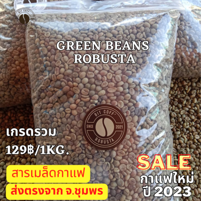 สารกาแฟ สารเมล็ดกาแฟ เมล็ดกาแฟสาร โรบัสต้า เกรดรวม คัดมือ ขนาด 1 กิโลกรัม 129 บาท Dry Process Robusta green bean กาแฟสารใหม่ปี 2023 กาแฟสารชุมพร