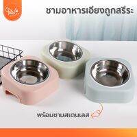 PawSociety ชามอาหาร พร้อมชามสแตนเลส เอียง15องศา ถูกสรีระ ดีต่อสุขภาพ ชามอาหาร สุนัข หมา แมว