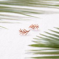 เครื่องประดับ rock me jewelry รุ่น Palm Leaf Earring ต่างหู ทองเหลืองชุบ ปรับดับพลอย(Customized 15 Days)