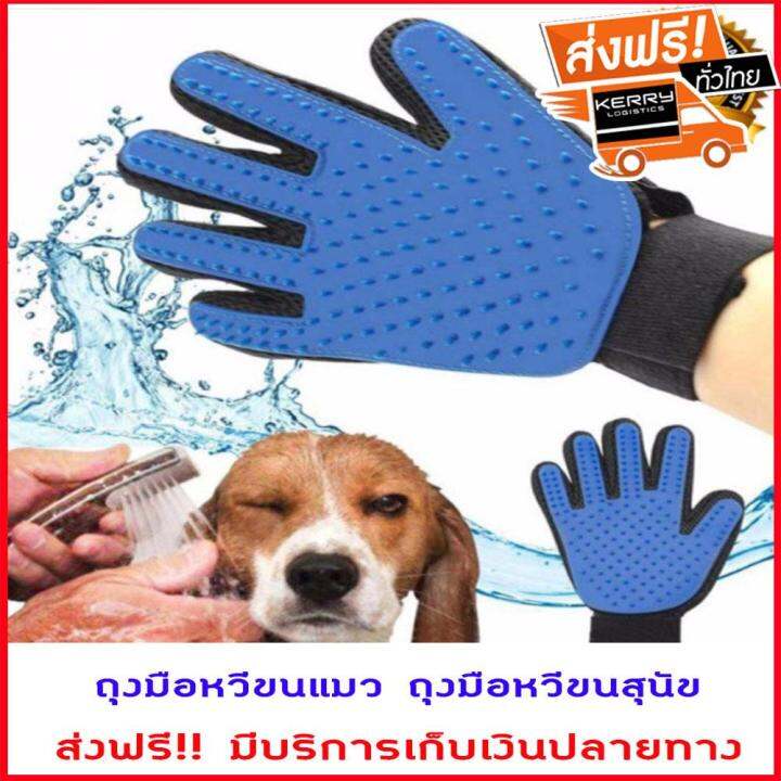 ส่งฟรี-ถุงมือหวีขน-1-แถม-1-ถุงมือหวีขนแมว-ถุงมือหวีขนสุนัข-ถุงมือแปลงขน-หวีขน-เก็บขนในตัว-กำจัดขนสัตว์เลียง-อุปกรณ์แปรงขนสัตว์เลี้ยง