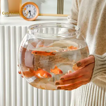Round Fish Bowl - Best Price in Singapore - Apr 2024