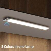 Night Light 20/30/40/60cm Ultra thin LED Light Cabinet Light Motion Sensor Wireless type-c For Kitchen bedroom Wardrobe lighting Ceiling Lights