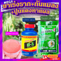 น้ำยาเร่งราก + สตาร์เกิลจี กันแมลง + ปูนแดงทาแผลต้นไม้ ? ป้องกันโรคเน่าและเชื้อรา 100กรัม