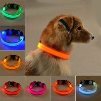 USB Charging Led Dog Collar Anti-Lost Flashing Necklace Outdoor Walking Night Safety Supplies