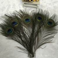 10 Pcs/lot Top Quality Peacock Feathers for Decoration 25-32 CM Natural Peacock Feather Decor Diy Jewelry Handicraft Accessories