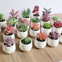 Artificial Succulent Bonsai Creative Ornaments for Home Table Garden Decoration Artificial Plants with Pot