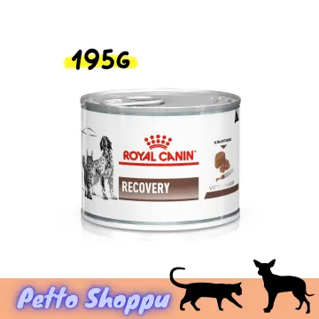 Buy Royal Canin Dog Food Recovery online