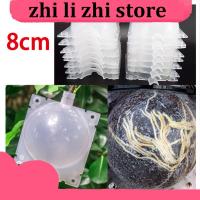 zhilizhi Store 5pcs 8cm Fruit Plant Tree Rooting Ball Root Box Plastic Case Transparent Grafting Rooter Growing High-pressure Breeding