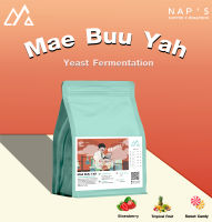 NAPSCOFFEE เมล็ดกาแฟ คั่วอ่อน MaeBuuYah - Yeast Fermentation 200G