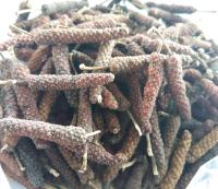 Long pepper ดีปลี ชนิดแบบตากแห้ง ขนาด 200 กรัม สมุนไพรรสเผ็ดร้อน ปลอดสารพิษ