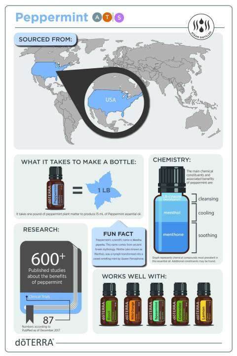 doterra-essential-oil-เปปเปอร์มินต์-peppermint-ขนาด-5-15-ml