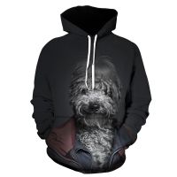 Sudadera con estampado 3D de animales para hombre y mujer, suéter informal de manga larga con capucha, estilo callejero Harajuku, 5XL, para primavera y otoño