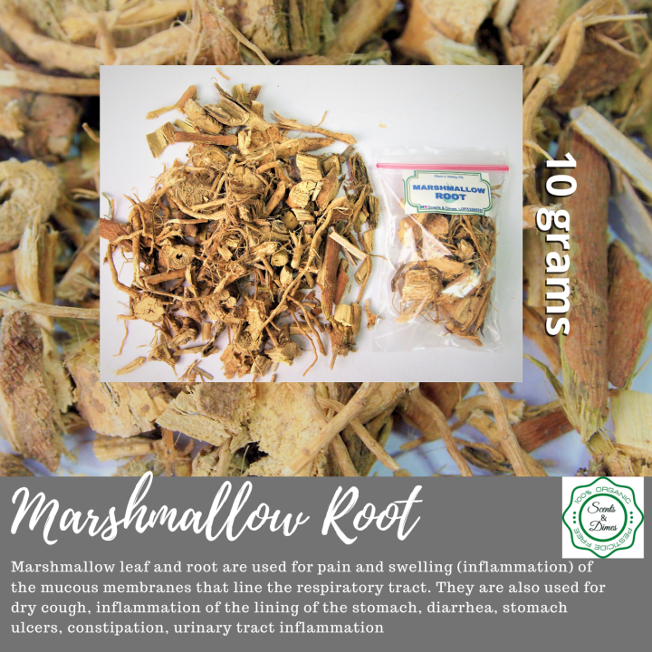 Dried Marshmallow Root Tea Lazada PH