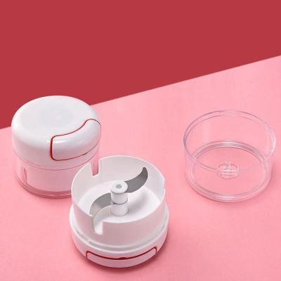 【CW】 Garlic Mash Manual Mincer Vegetable Fruit Cutter Food Aid Press Accessories