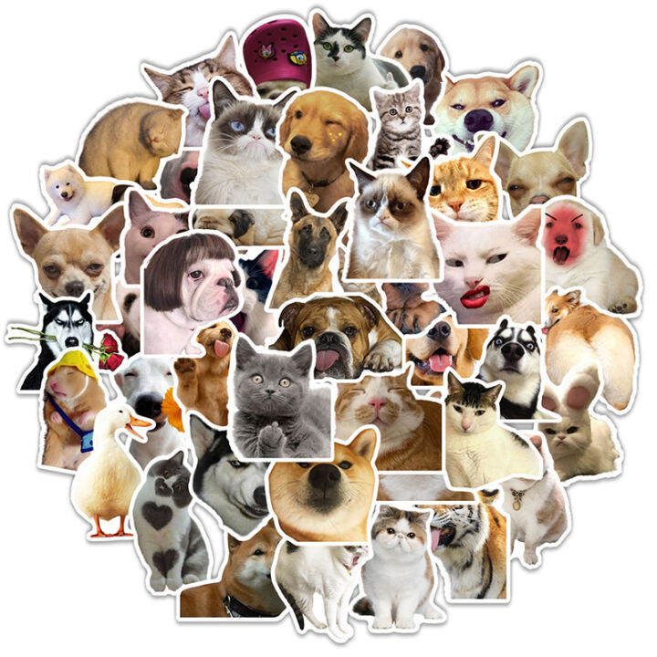 NEW 50pcs Mix Animal Cat Meme Graffiti Stickers Kids Toy Guitar Funny Sticker Decals NEW 50pcs Mix Animal Cat Meme Graffiti Stickers Kids Toy Guitar Funny Sticker Decals