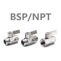 【hot】✼✹  304 Sanitary 1/8 1/4 3/8 1/2 3/4 BSP NPT Female Male Thread 2 Way Homebrew