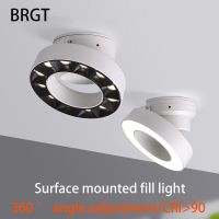 BRGT Surface Mounted Downlight Adjustable Angle Spotlight 12W Floodlight White Black Fill Light COB Ceiling Lamp Aluminum Foco