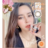 ✅คอนแทคเลนส์ สายตา✅?ขนาดบิ๊กอายโต?เลนส์กรองแสง UV? Montra Megan Black Gray  Brown แถมตลับ รายเดือน DIA14.5MM