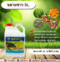 ฉลามขาว 5L. ธาตุอาหารเสริม ฮอร์โมนพืช สร้างคลอโรฟิลด์ ใบเขียวเข้ม เสริมสร้างดอก และผสมเกสร เนื้อแน่น ไส้ไม่กลวง ลดการหลุดร่วง allabountplants