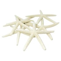 12PCS White Finger Starfish 5-10cm Decorative five-finger starfish