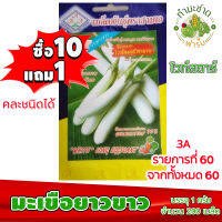 (ซื้อ10แถม1) เมล็ดพันธุ์ มะเขือยาว ขาว Eggplant ประมาณ 200เมล็ด 3A สามเอ ผักสวนครัว เมล็ดพันธุ์พืช เมล็ดผัก เม็ดผัก พืชผัก