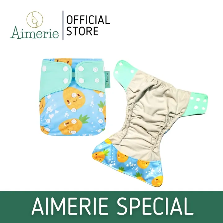Aimerie Special Cloth Diapers Batch 1 2 Pack Lazada PH