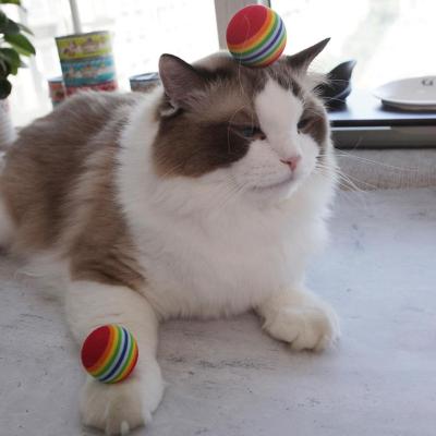 Pet Ball Cat Toy Cat And Dog Toy EVA Material Floating Cat Rainbow And Cat Cat Cat Pet Toy Toy Ball Dog Toy And Toy P4Q9