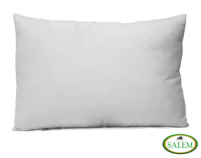 Salem Deluxe Pillows in White 20”x30” Lazada PH