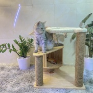 Cat tree Trụ cào móng cho mèo có hộc gỗ độc đáo