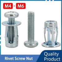 Jack Nut Expansion Clamp Petal Rivet Lock Nut Bolt Hollow Wall Screws Fixed License Plate Jacknut Zinc Plated Nuts Kit M4 M5 M6