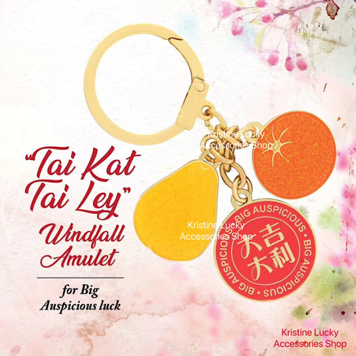 Fengshui 2024 Tai Kat Tai Ley Windfall Amulet Lazada PH